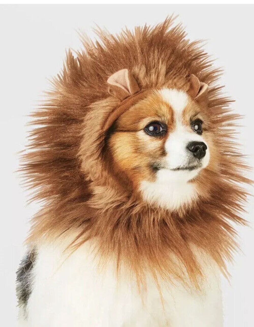 Hyde & EEK! Boutique Lion Ruff Headwear Dog and Cat Costume Brown - XXS/XS